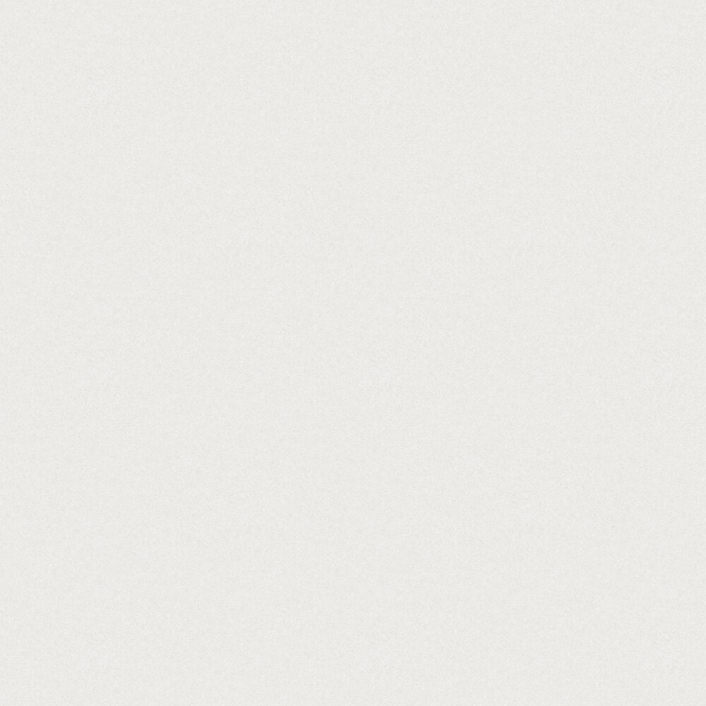 Kim Wallpaper - Pearl Grey - Boråstapeter - 38701 - Premier Wallcovering