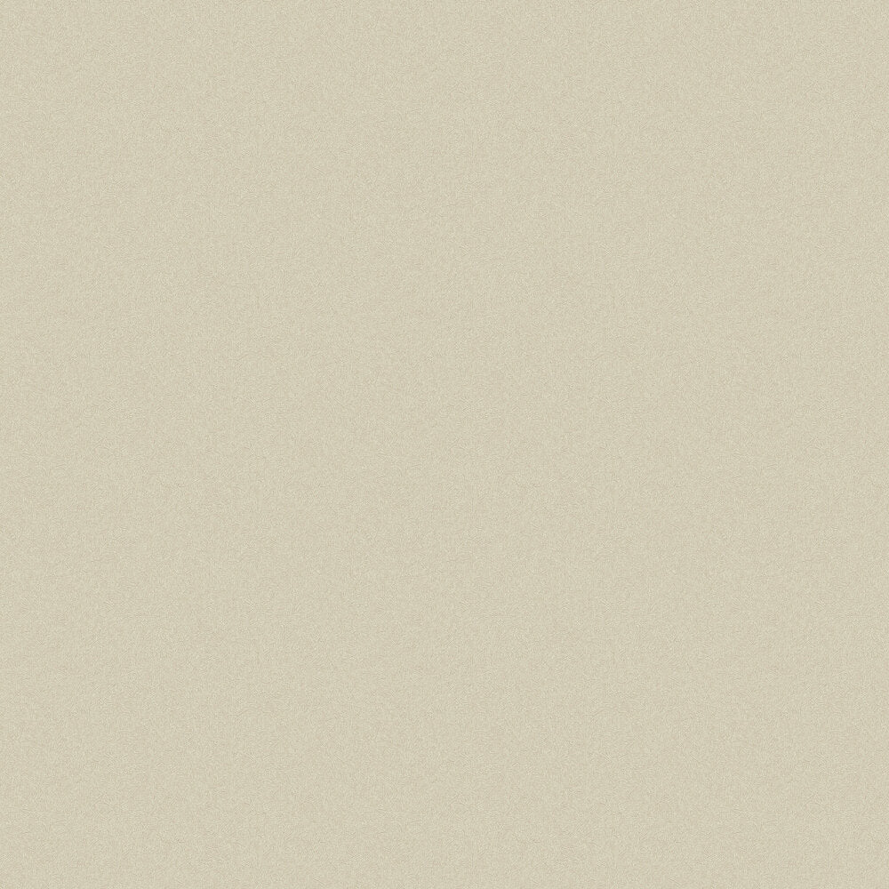 Kyoto Crepe Wallpaper - Warm Beige - Boråstapeter - 3136 - Premier Wallcovering