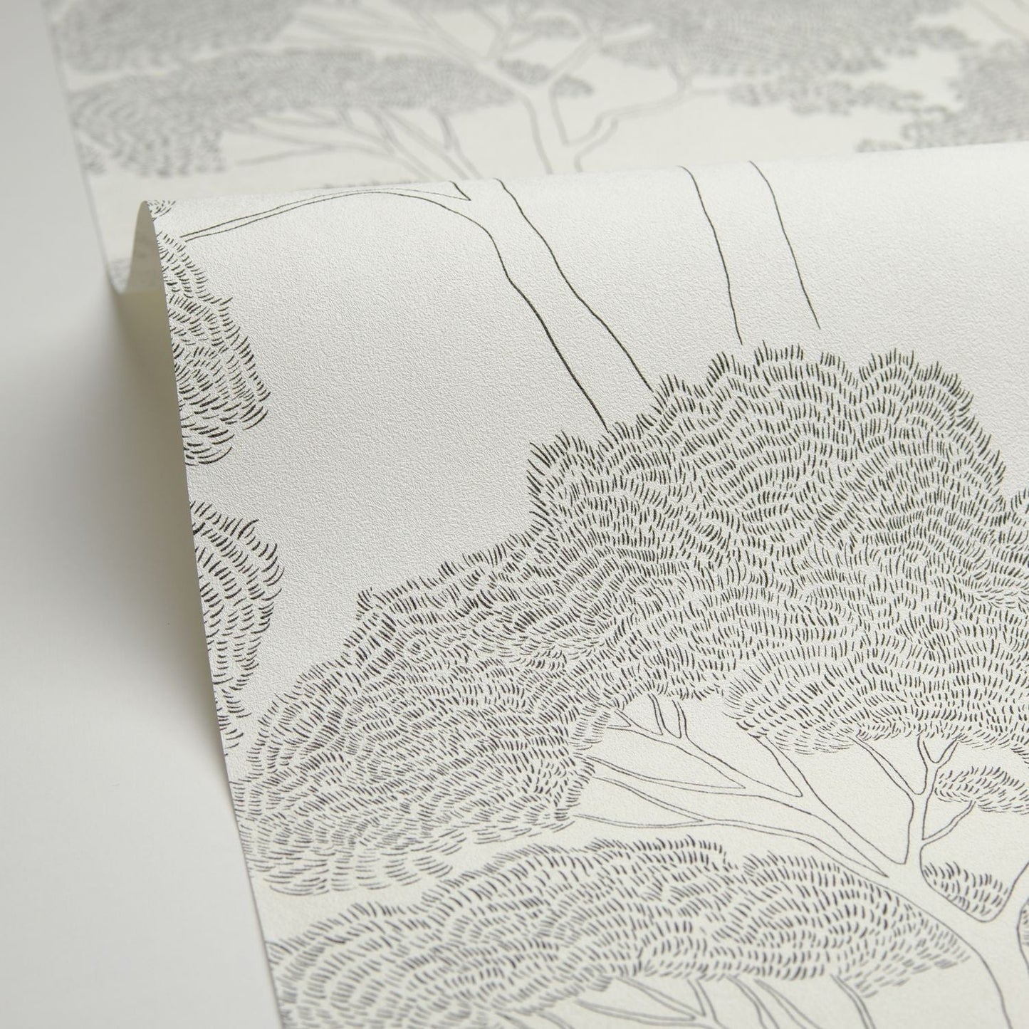 La Ciotat Wallpaper - Blanc Noir - Caselio - 105430903