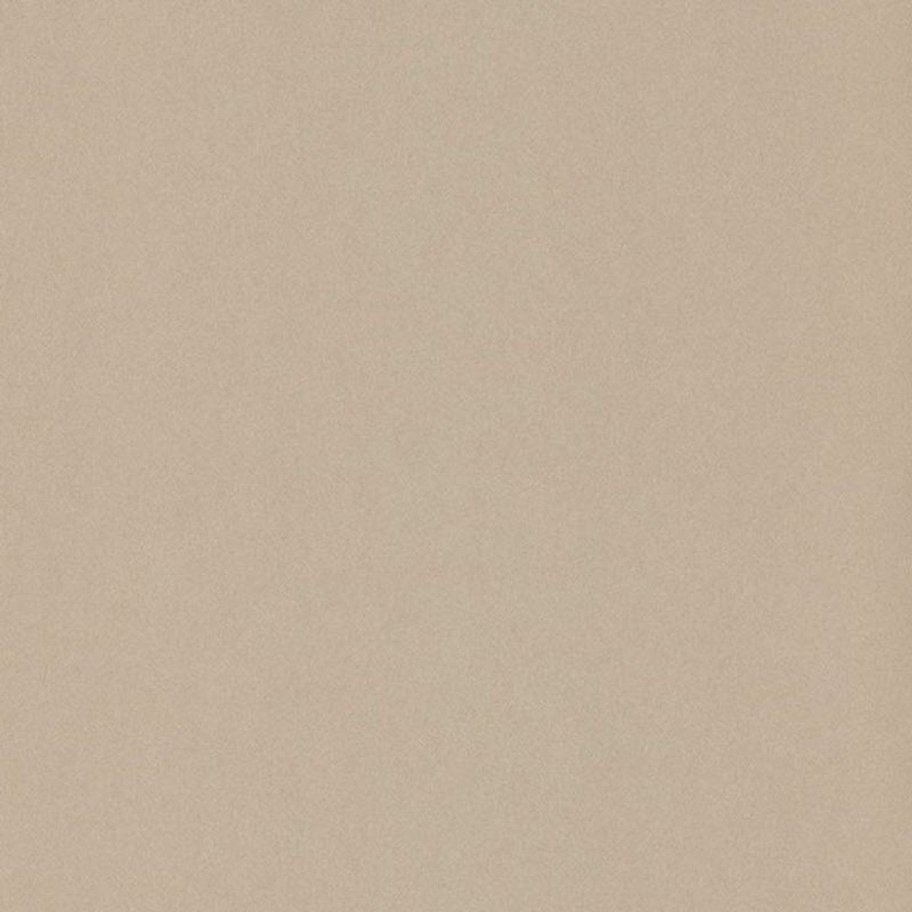 Lady Uni 1930 Wallpaper - Beige - Casadeco - 60401000 - Premier Wallcovering