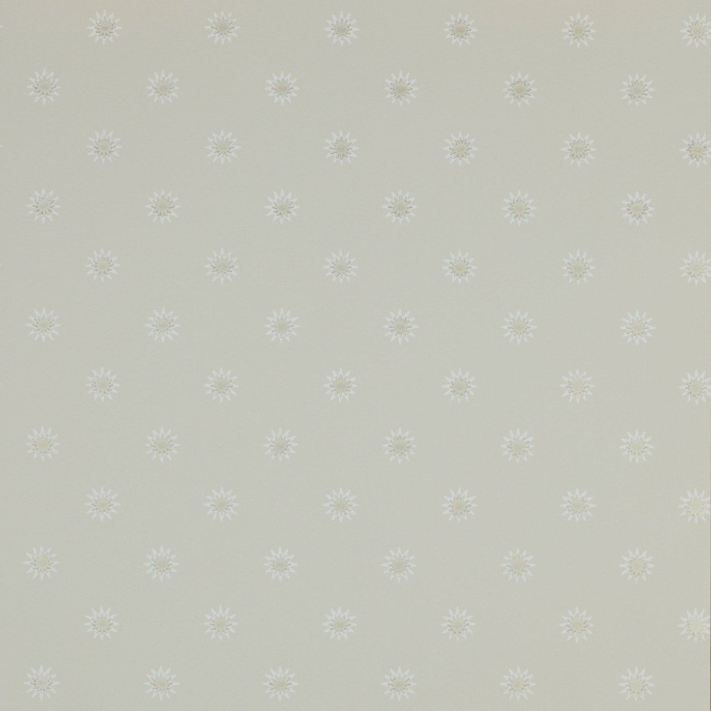 Larissa Wallpaper - Silver - Colefax & Fowler - 07131/05 - Premier Wallcovering