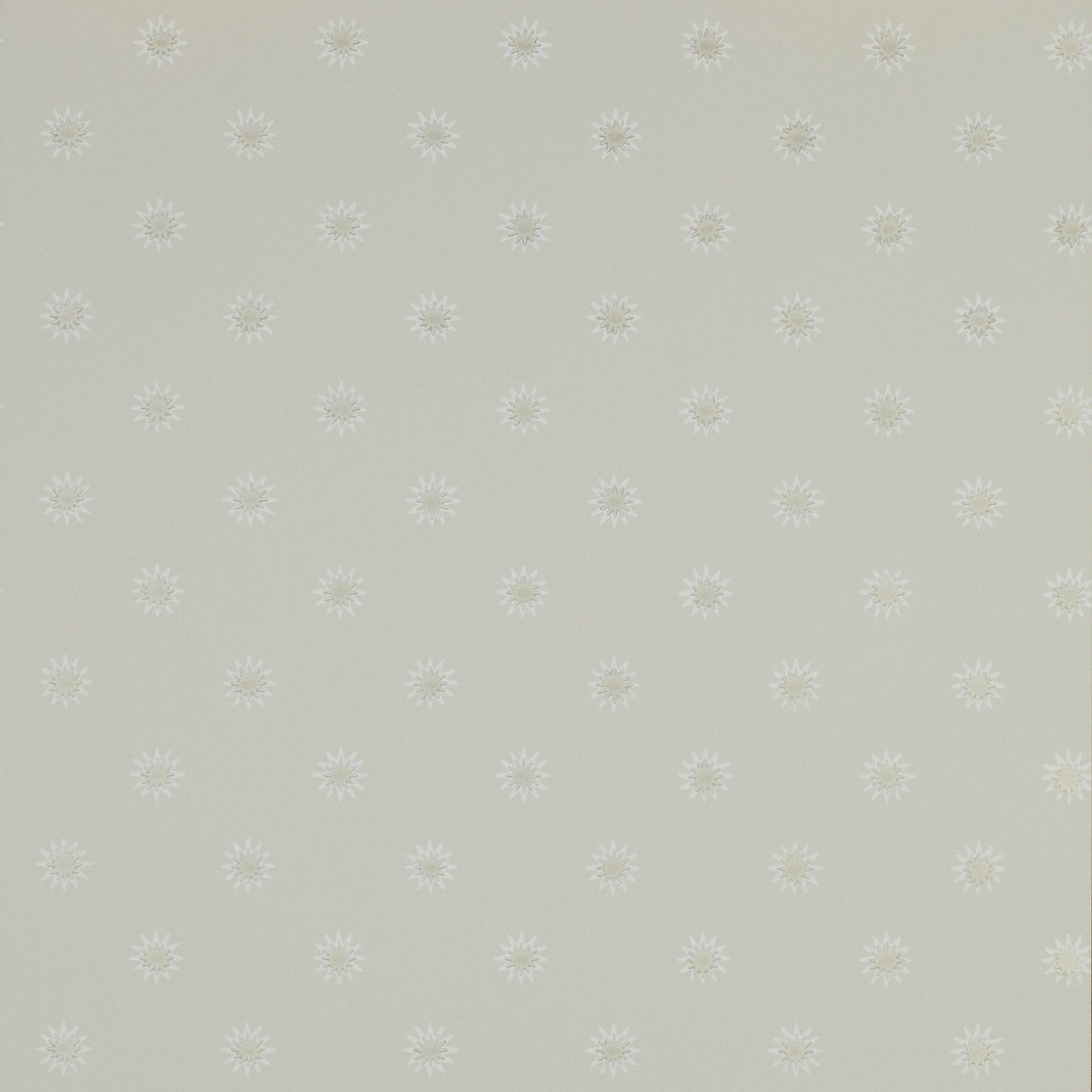 Larissa Wallpaper - Silver - Colefax & Fowler - 07131/05 - Premier Wallcovering