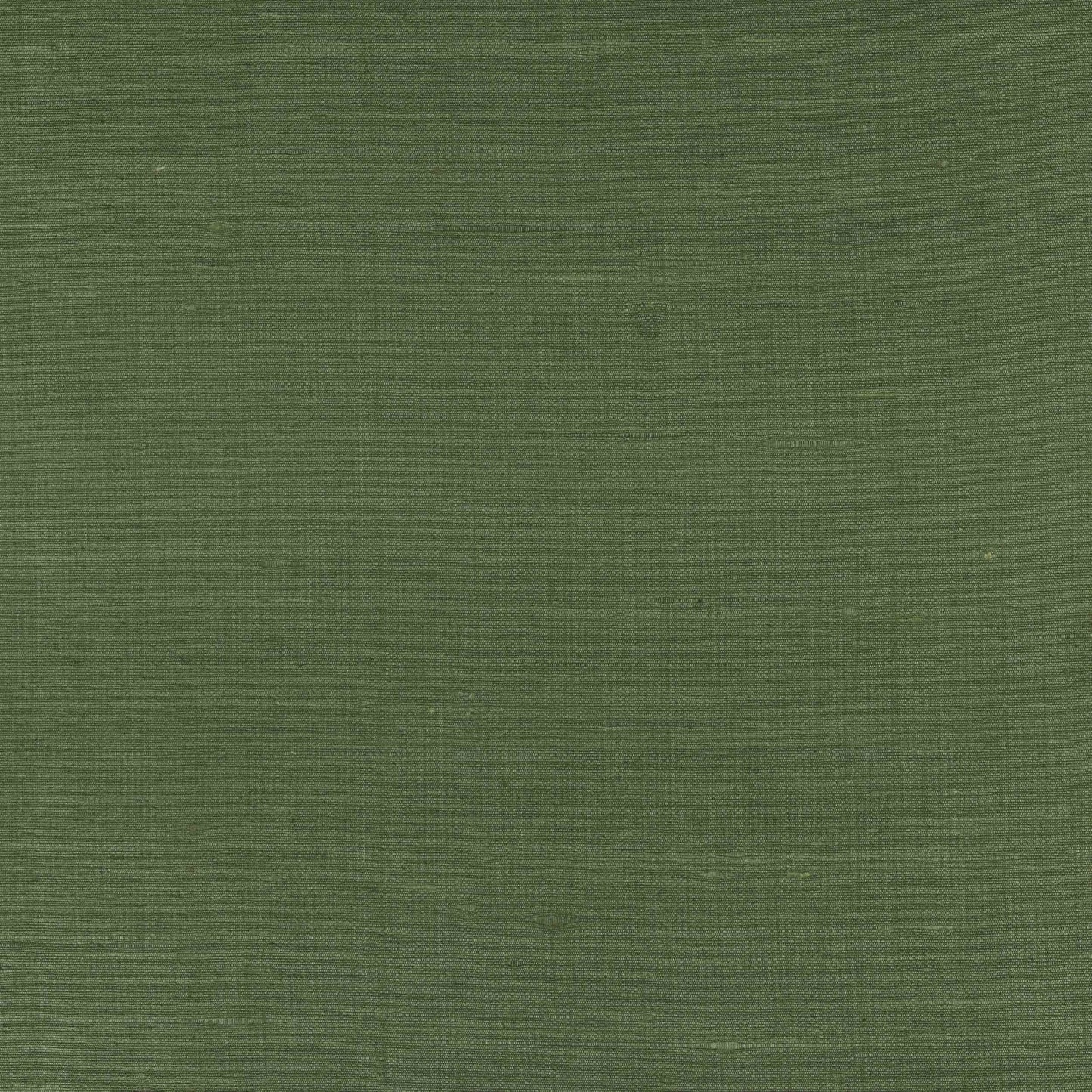 Lazare Fabric - Cactus - Manuel Canovas - M4131-20 - Premier Wallcovering