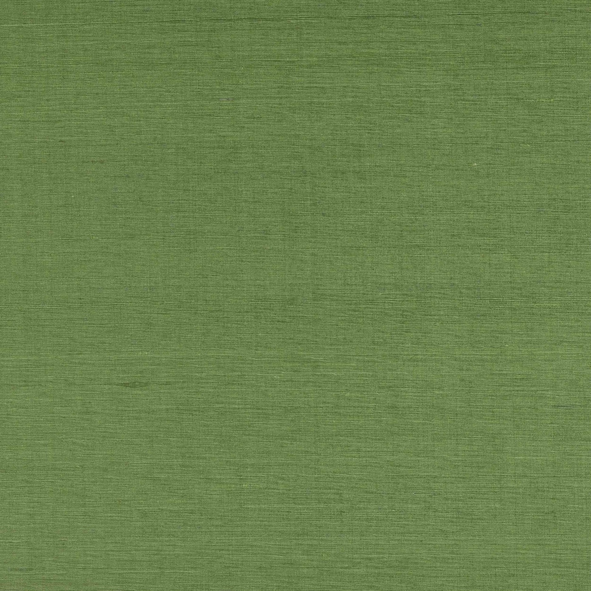 Lazare Fabric - Kiwi - Manuel Canovas - M4131-21 - Premier Wallcovering