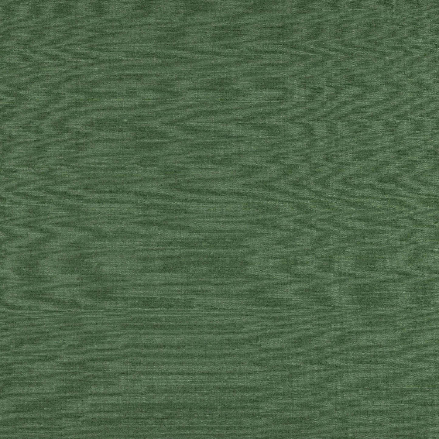Lazare Fabric - Menthe - Manuel Canovas - M4131-22 - Premier Wallcovering