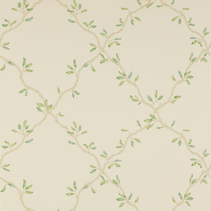 Leaf Trellis Wallpaper - Pale Green - Colefax & Fowler - 07706/02 - Premier Wallcovering
