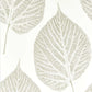 Leaf Wallpaper - Chalk/Silver - Harlequin - HTEW112609 - Premier Wallcovering