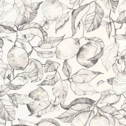 Lemon Tree Soliflore Wallpaper - Fusain - Casadeco - 200270900 - Premier Wallcovering