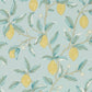 Lemon Tree Wallpaper - Wedgewood - 216674 - Morris & Co - Premier Wallcovering