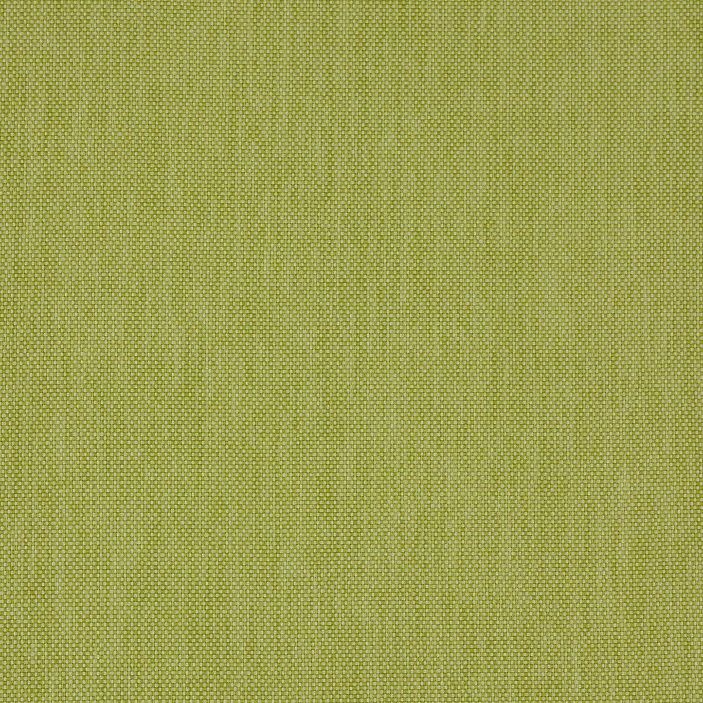 Leni Fabric - Cactus - Manuel Canovas - 04914/07 - Premier Wallcovering