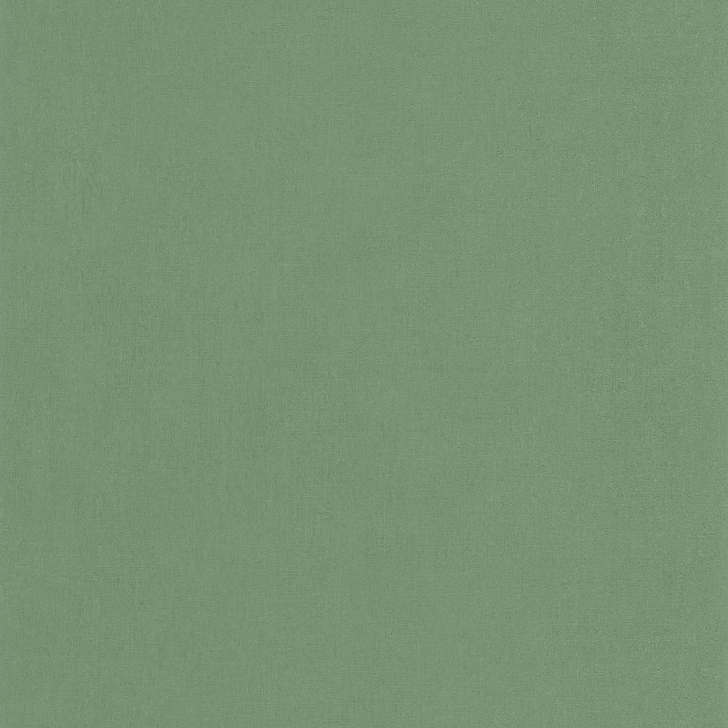 Life Wallpaper - Vert - Caselio - 64527170