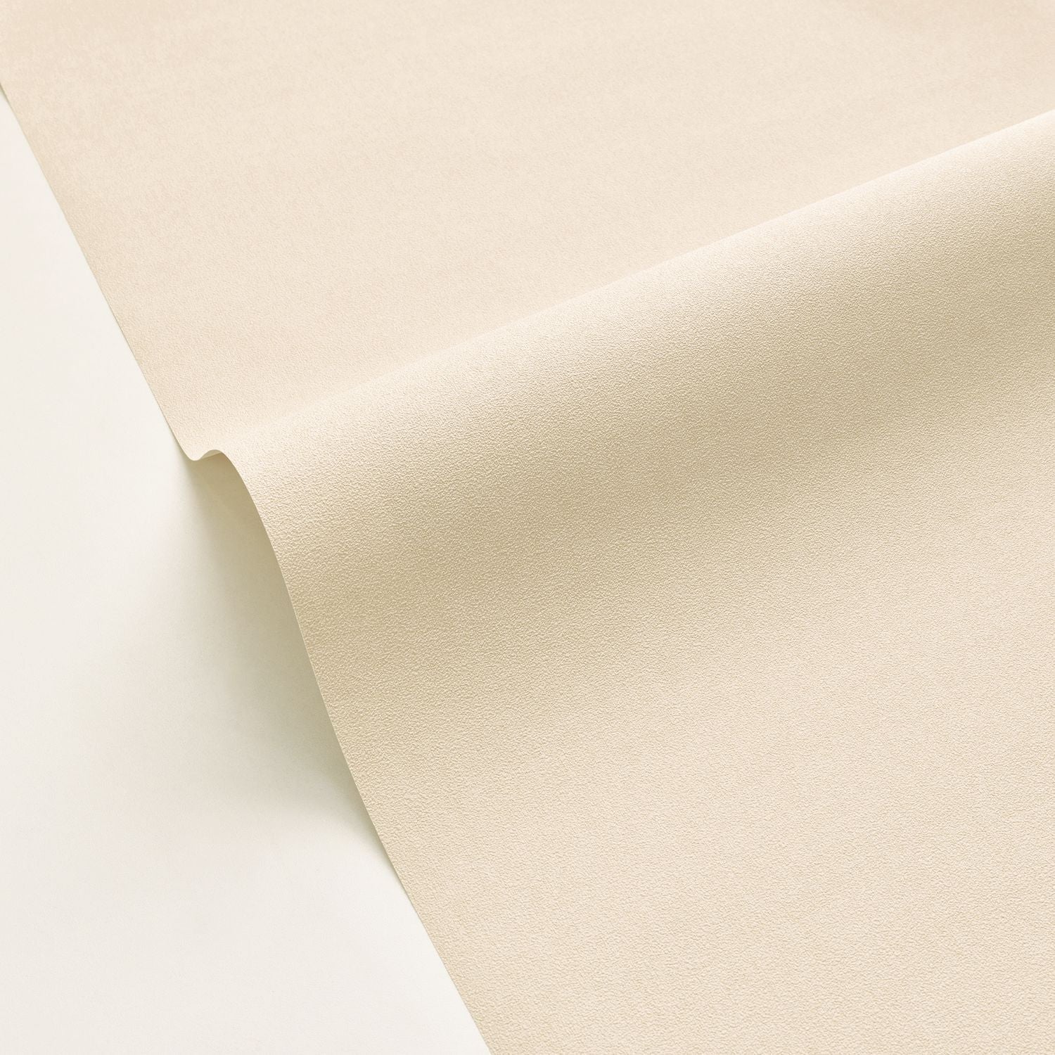 Life Wallpaper - Taupe Clair - Caselio - 64522220