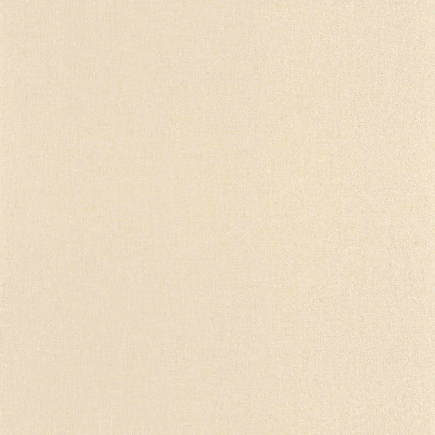 Life Wallpaper - Taupe Clair - Caselio - 64522220