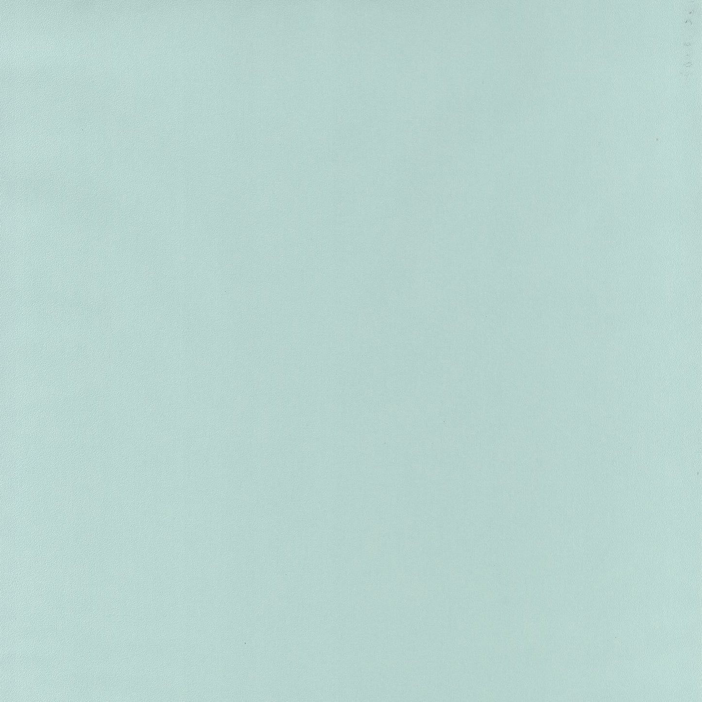 Life Wallpaper - Mint - Caselio - 64527007