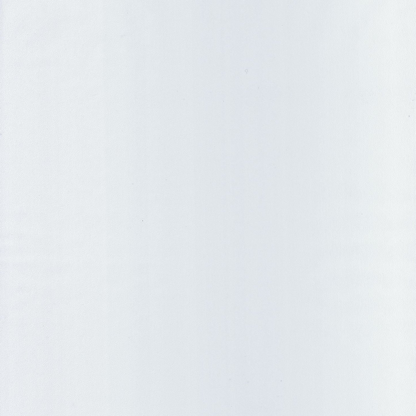 Life Wallpaper - Blanc - Caselio - 64520000