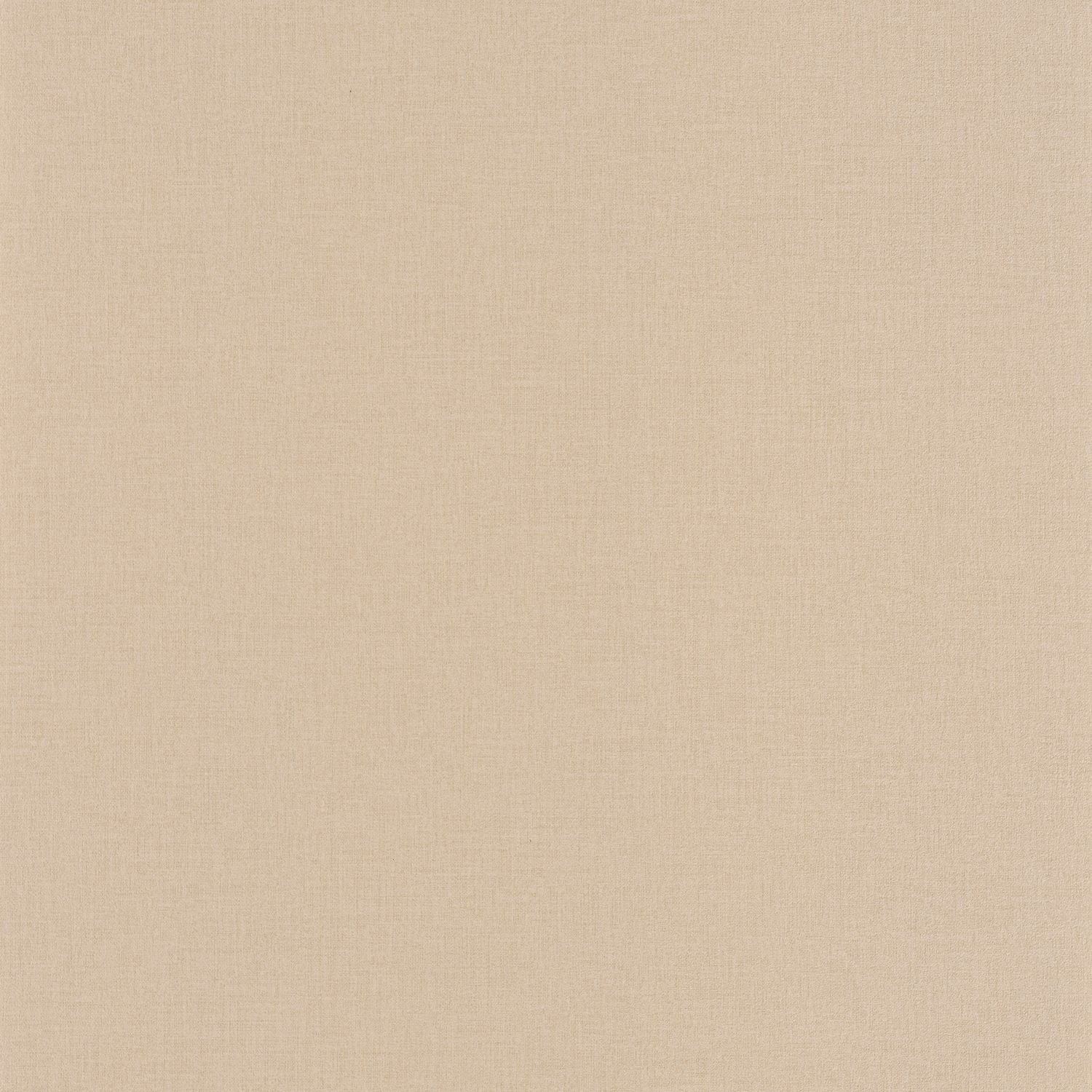 Life Wallpaper - Taupe - Caselio - 64522412