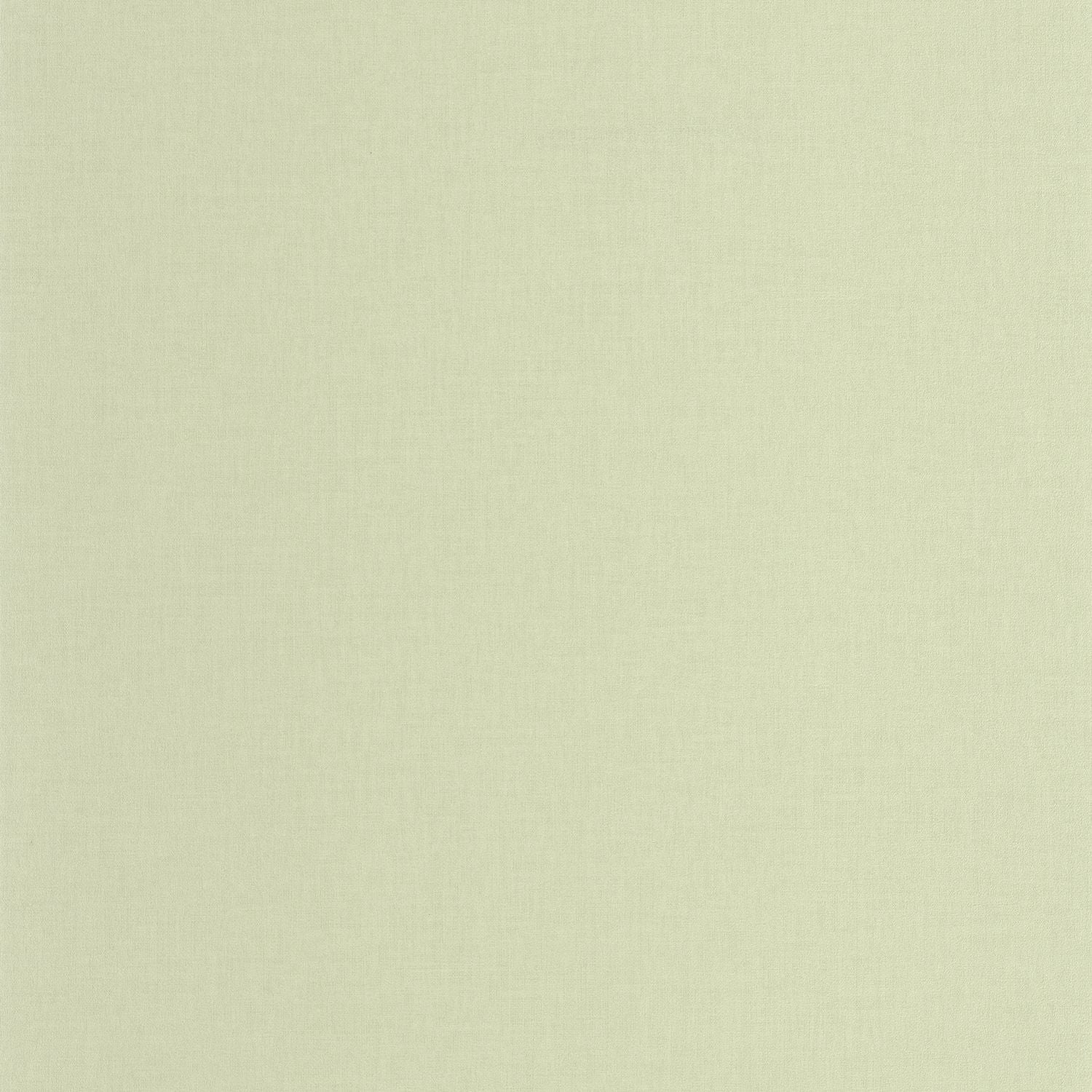 Life Wallpaper - Vert Amande - Caselio - 64527721