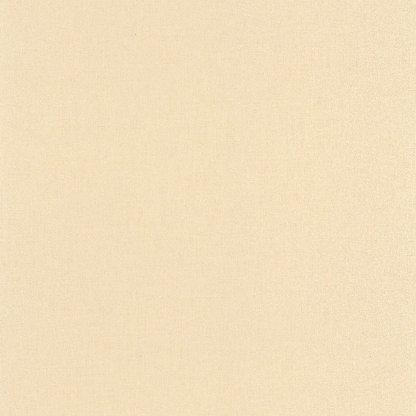 Life Wallpaper - Beige - Caselio - 64521270