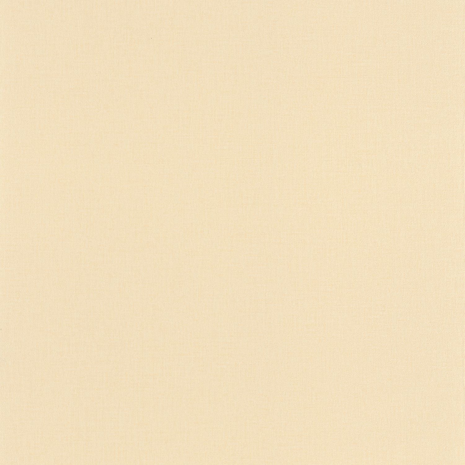 Life Wallpaper - Beige - Caselio - 64521270