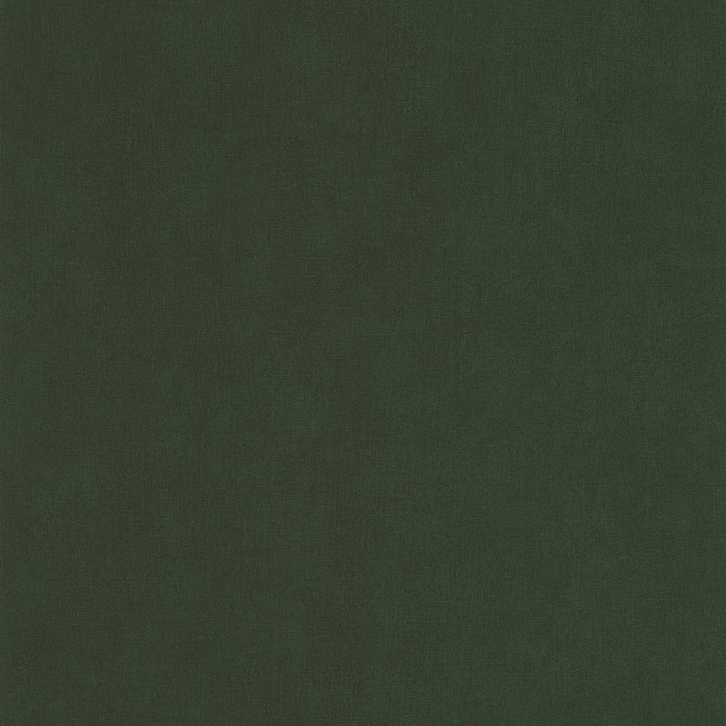 Life Wallpaper - Vert Kaki - Caselio - 64527370