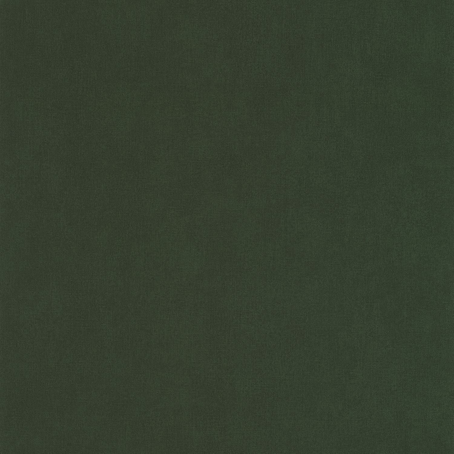 Life Wallpaper - Vert Kaki - Caselio - 64527370