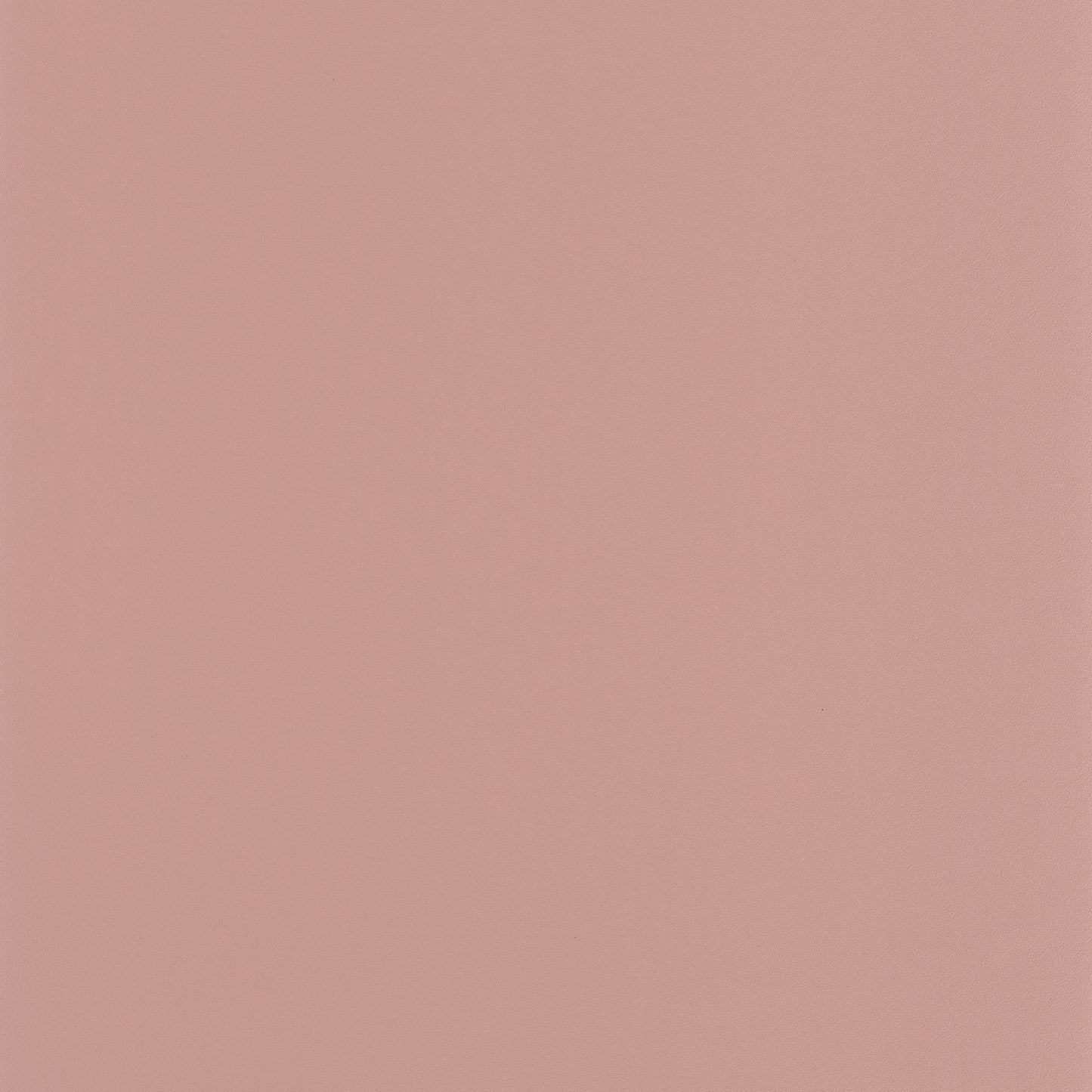 Life Wallpaper - Rose - Caselio - 64524180