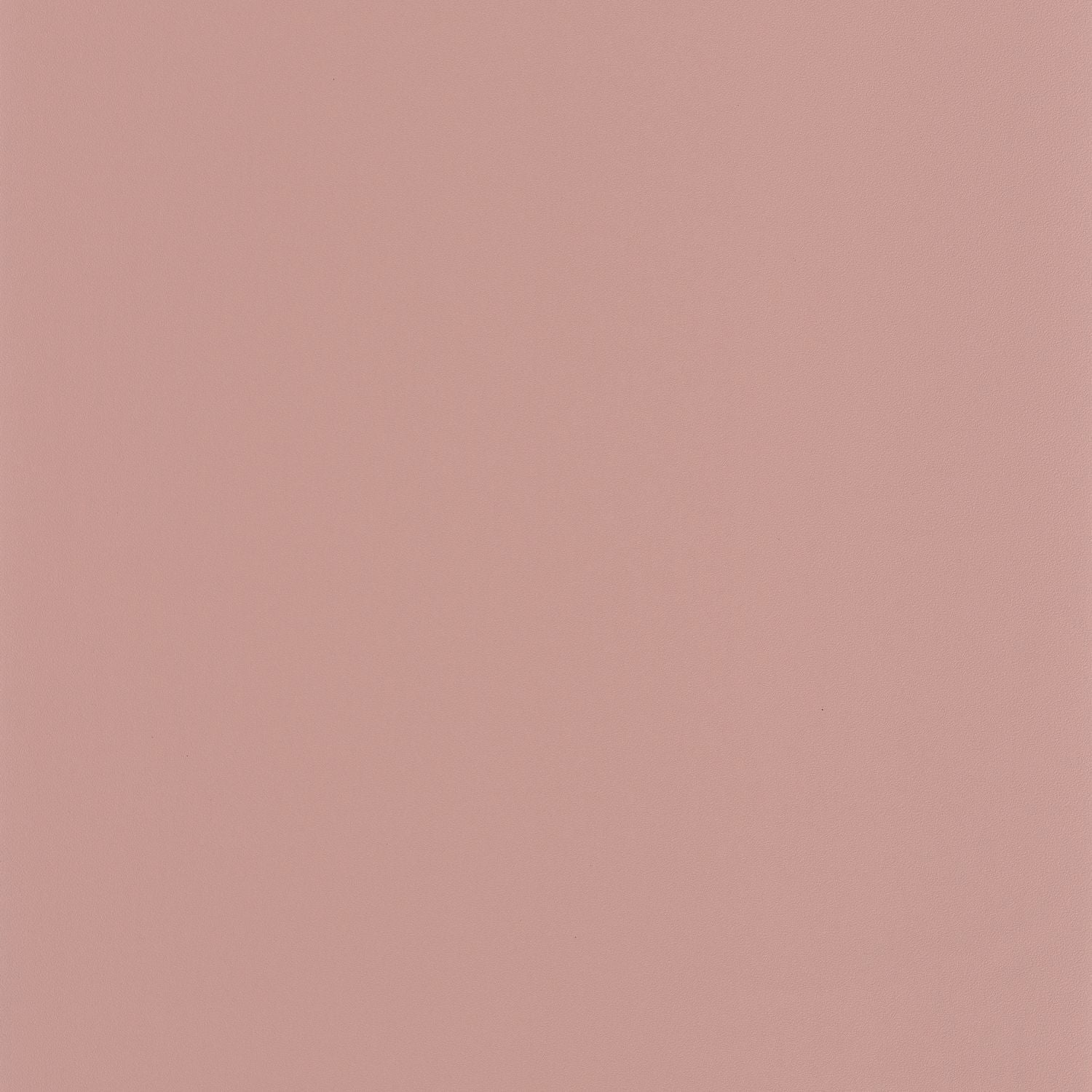 Life Wallpaper - Rose - Caselio - 64524180