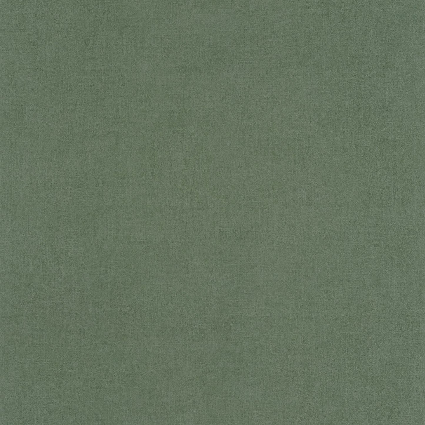 Life Wallpaper - Kaki - Caselio - 64524044