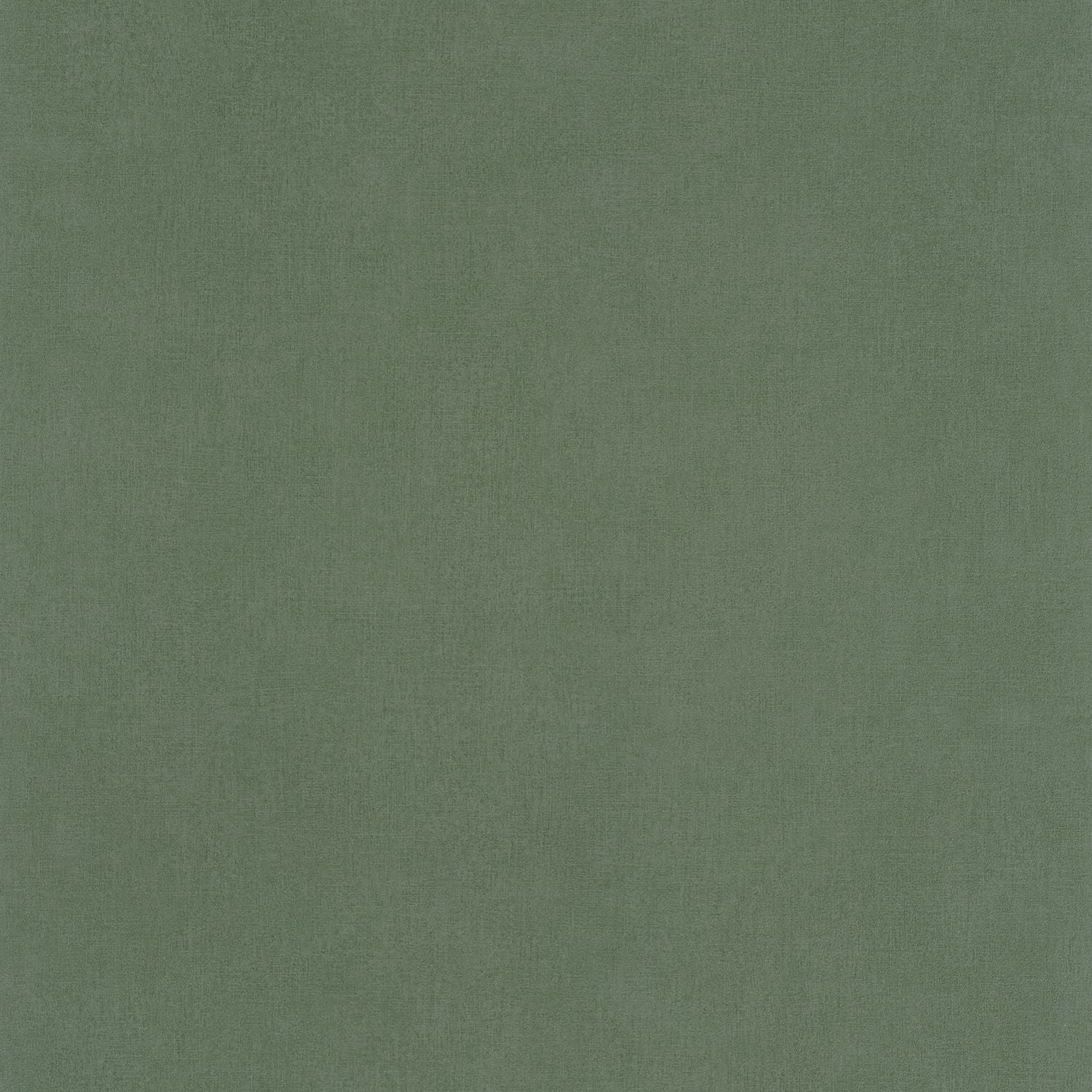 Life Wallpaper - Kaki - Caselio - 64524044