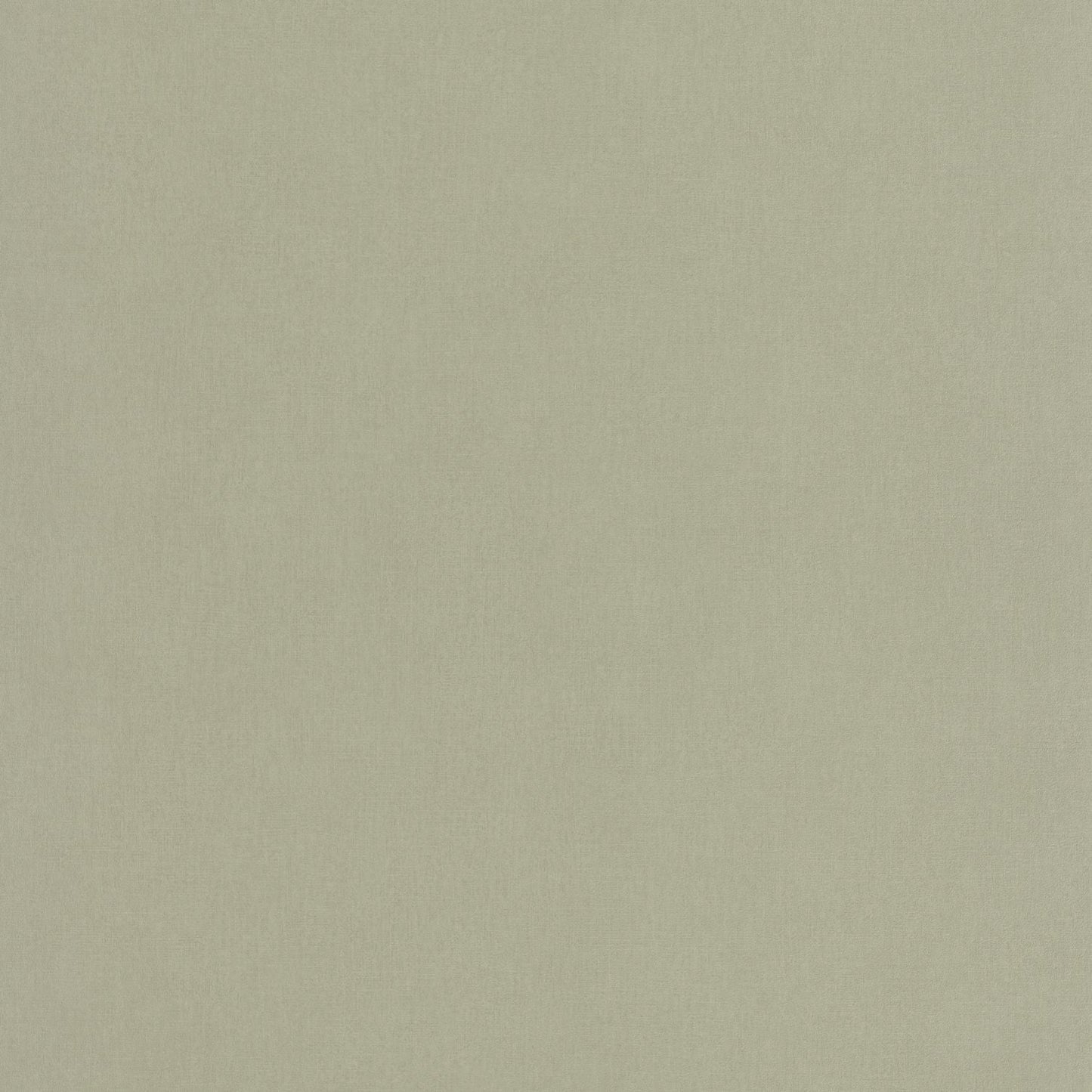 Life Wallpaper - Amande - Caselio - 64527210