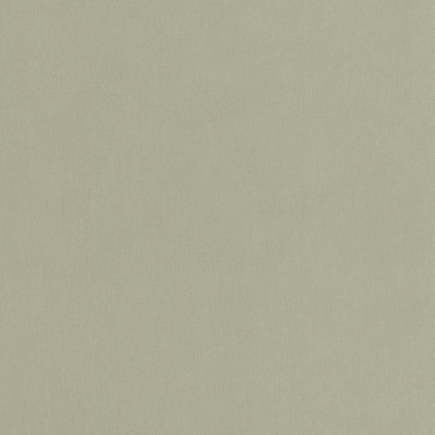 Life Wallpaper - Amande - Caselio - 64527210