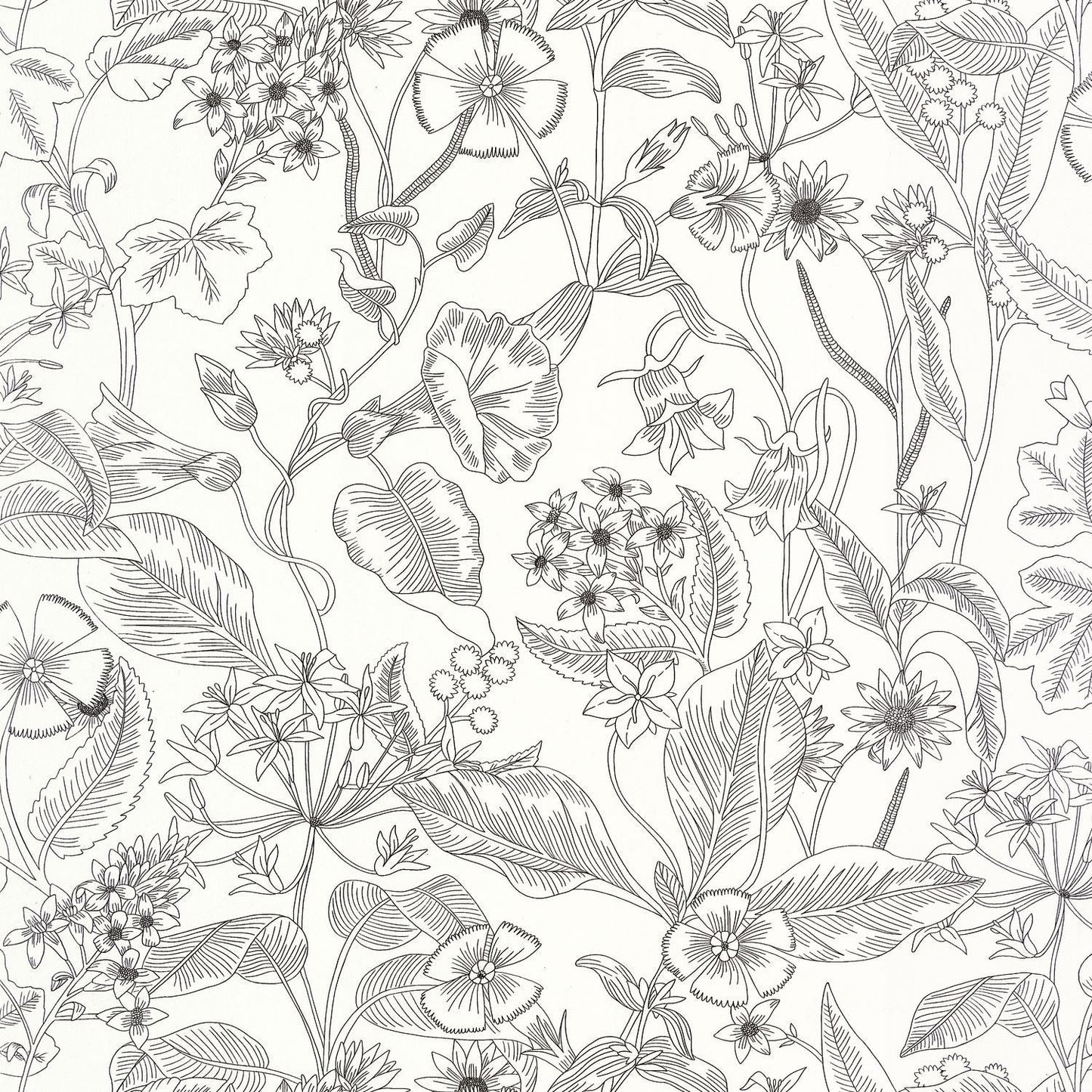 Lightness Wallpaper - Noir - Caselio - 106609090