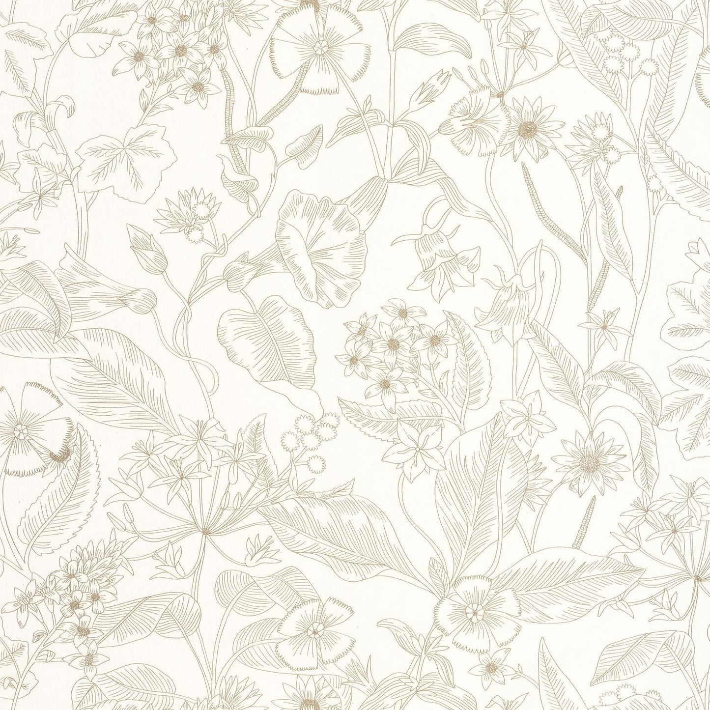Lightness Wallpaper - Blanc - Caselio - 106600026
