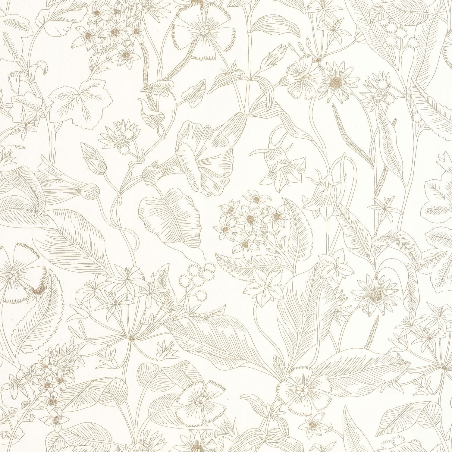 Lightness Wallpaper - Blanc - Caselio - 106600026