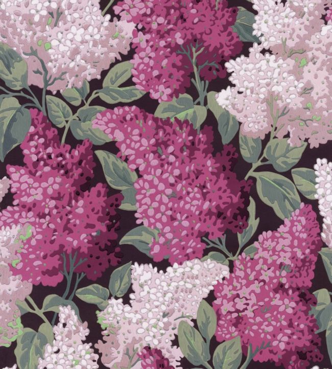 Lilac Grandiflora Wallpaper - Magenta & Blush on Charcoal - 115/15045 - Cole & Son