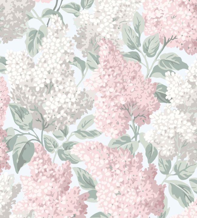 Lilac Wallpaper - Blush & Dove on Silver Birch - 115/1002 - Cole & Son - Premier Wallcovering