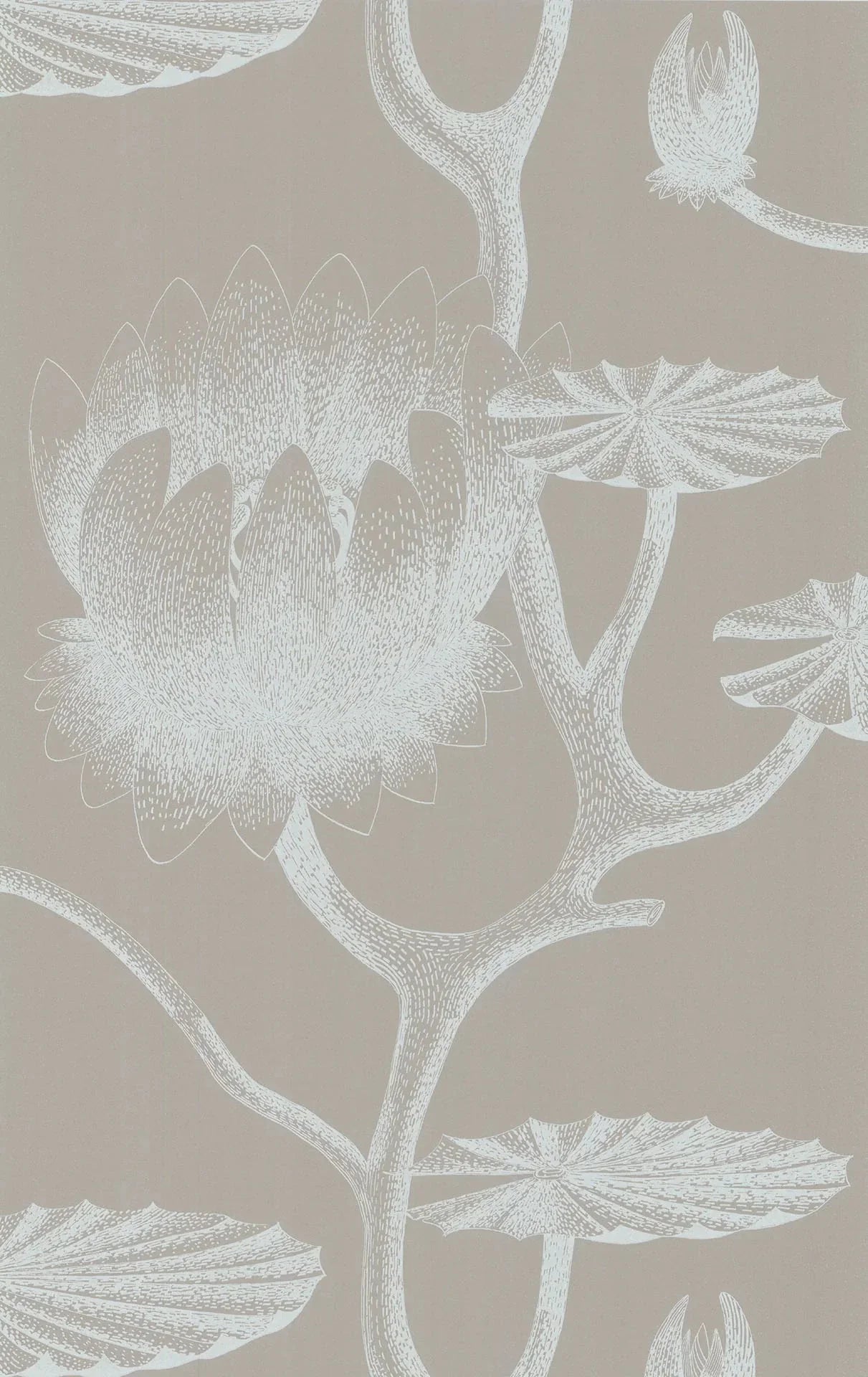 Lily Wallpaper - Chalk on Taupe - 69/3110 - Cole & Son - Premier Wallcovering