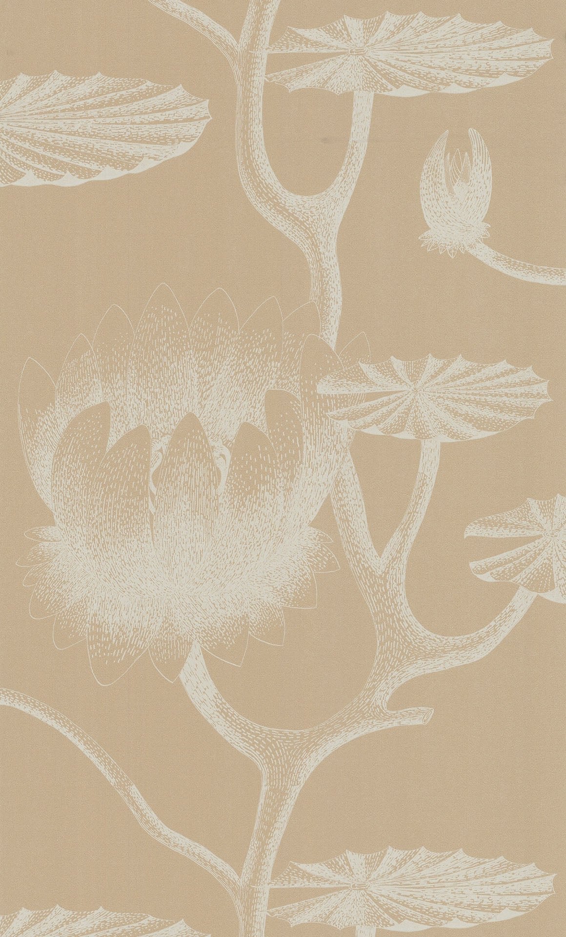 Lily Wallpaper - Parchment on Sand - 69/3113 - Cole & Son - Premier Wallcovering