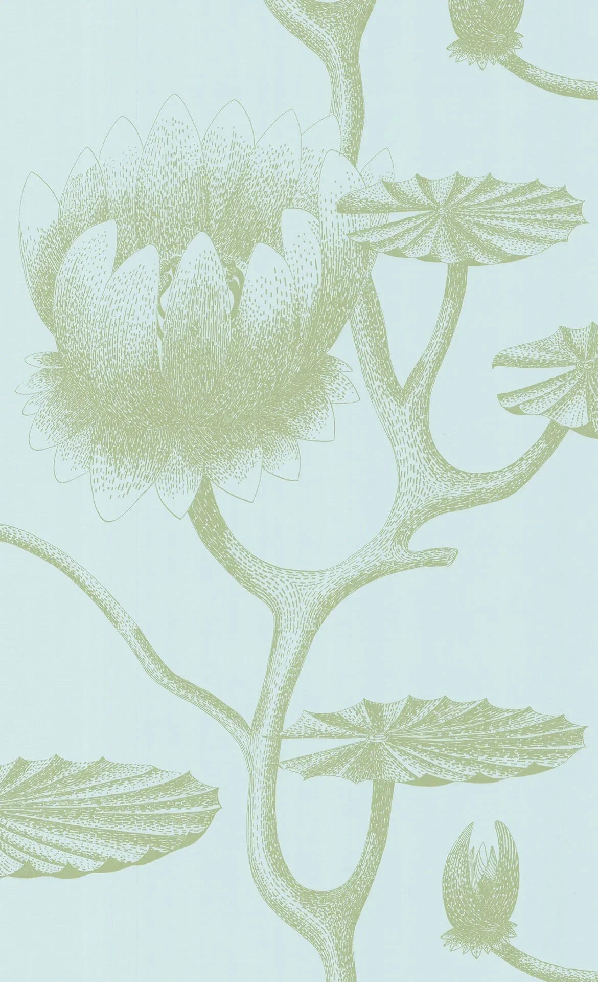 Lily Wallpaper - Olive Green on Seafoam - 69/3112 - Cole & Son - Premier Wallcovering