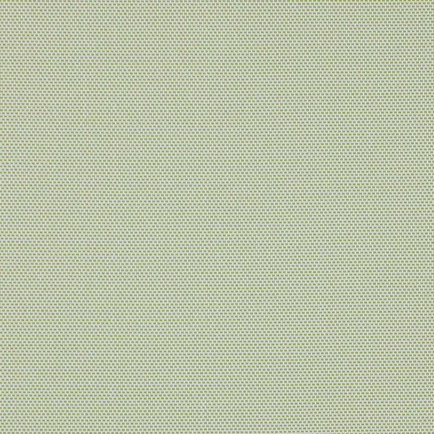 Lipari Fabric - Anis - Manuel Canovas - 04890/05 - Premier Wallcovering