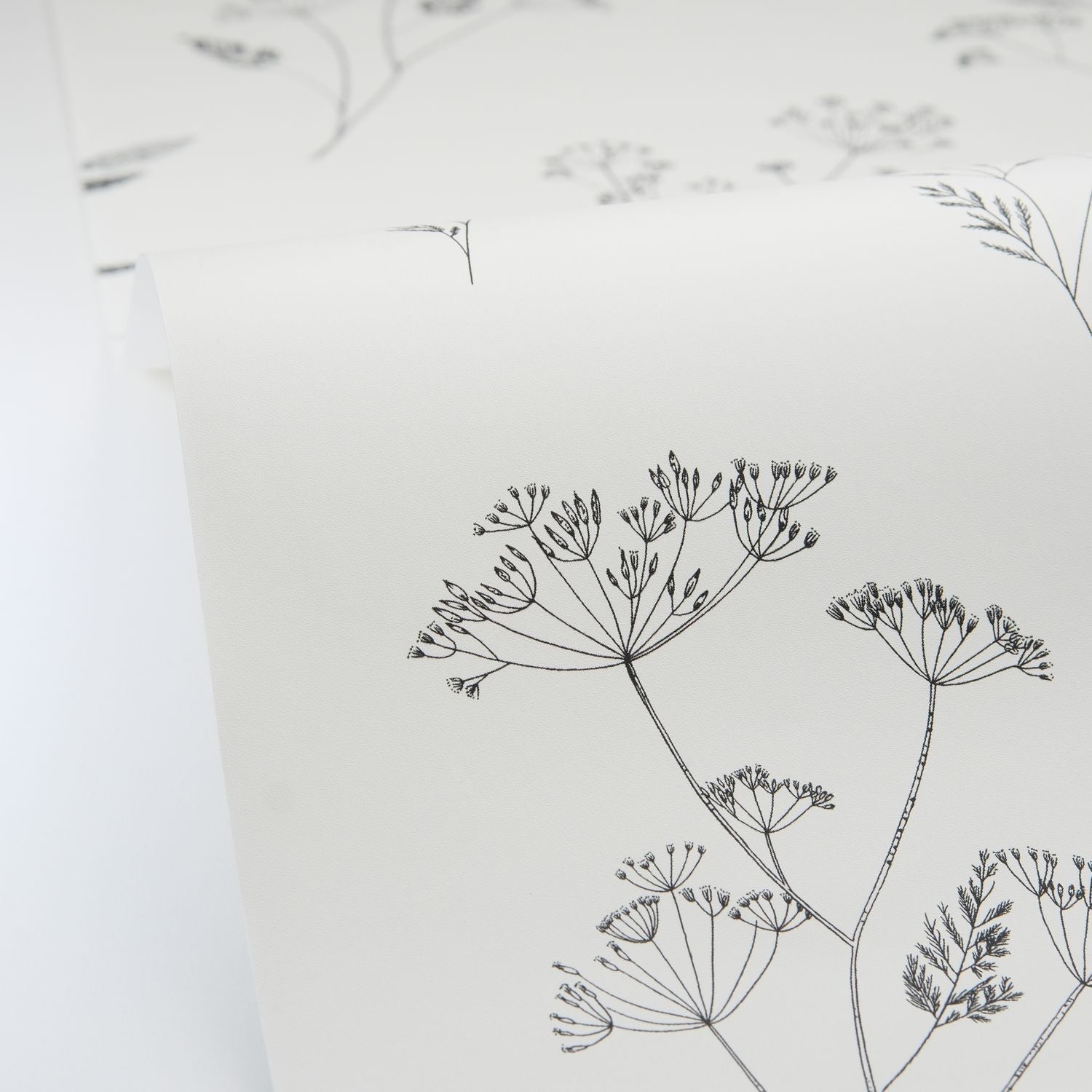 Little Graminea Wallpaper - Noir blanc - Caselio - 106680928