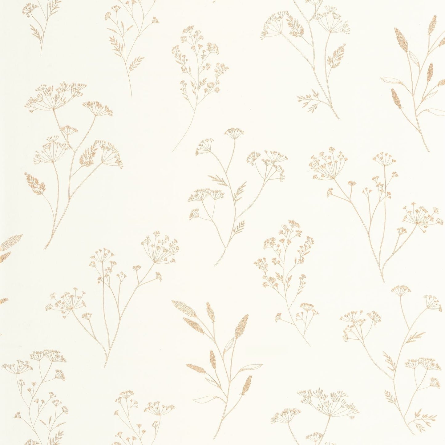 Little Graminea Wallpaper - blanc - Caselio - 106680234