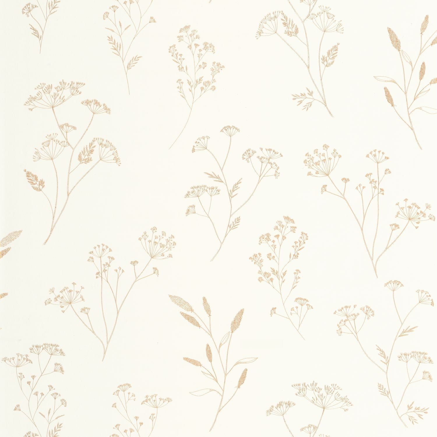 Little Graminea Wallpaper - blanc - Caselio - 106680234