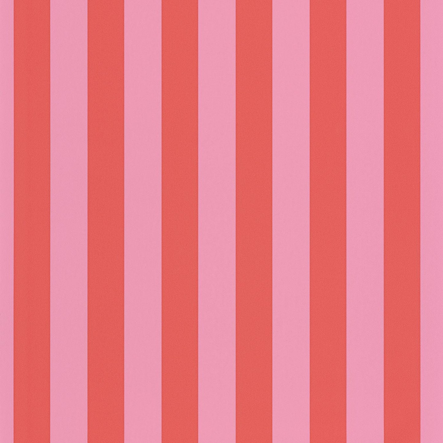 Little Lines Wallpaper - Rose Corail - Caselio - 104034140