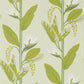 Llenya Wallpaper - Lime/Jade/Pebble - Harlequin - HMIW112238 - Premier Wallcovering