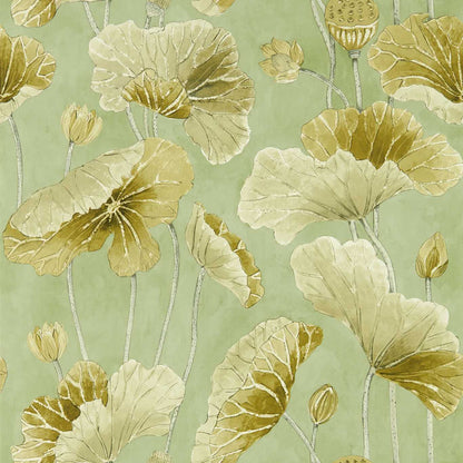 Lotus Leaf Wallpaper - Oriental Green/ Olive - DWAW217126 - Sanderson