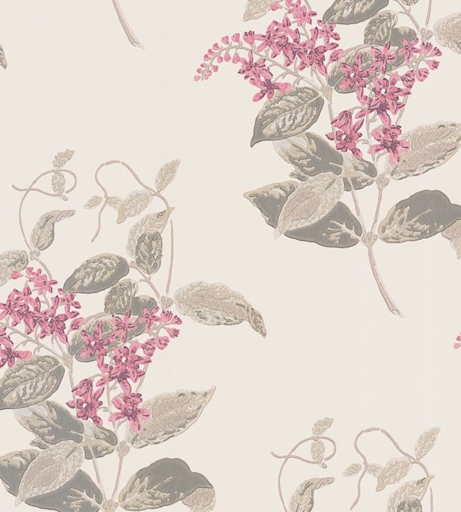 Madras Violet Wallpaper - Fuchsia & Linen on Parchment - 100/12058 - Cole & Son - Premier Wallcovering