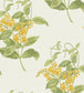 Madras Violet Wallpaper - Yellow & Linen on Parchment - 100/12059 - Cole & Son - Premier Wallcovering