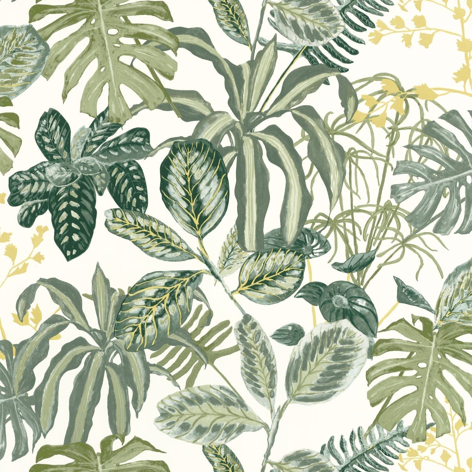 Manaus Wallpaper - Vert Mousse - Caselio - 103897067