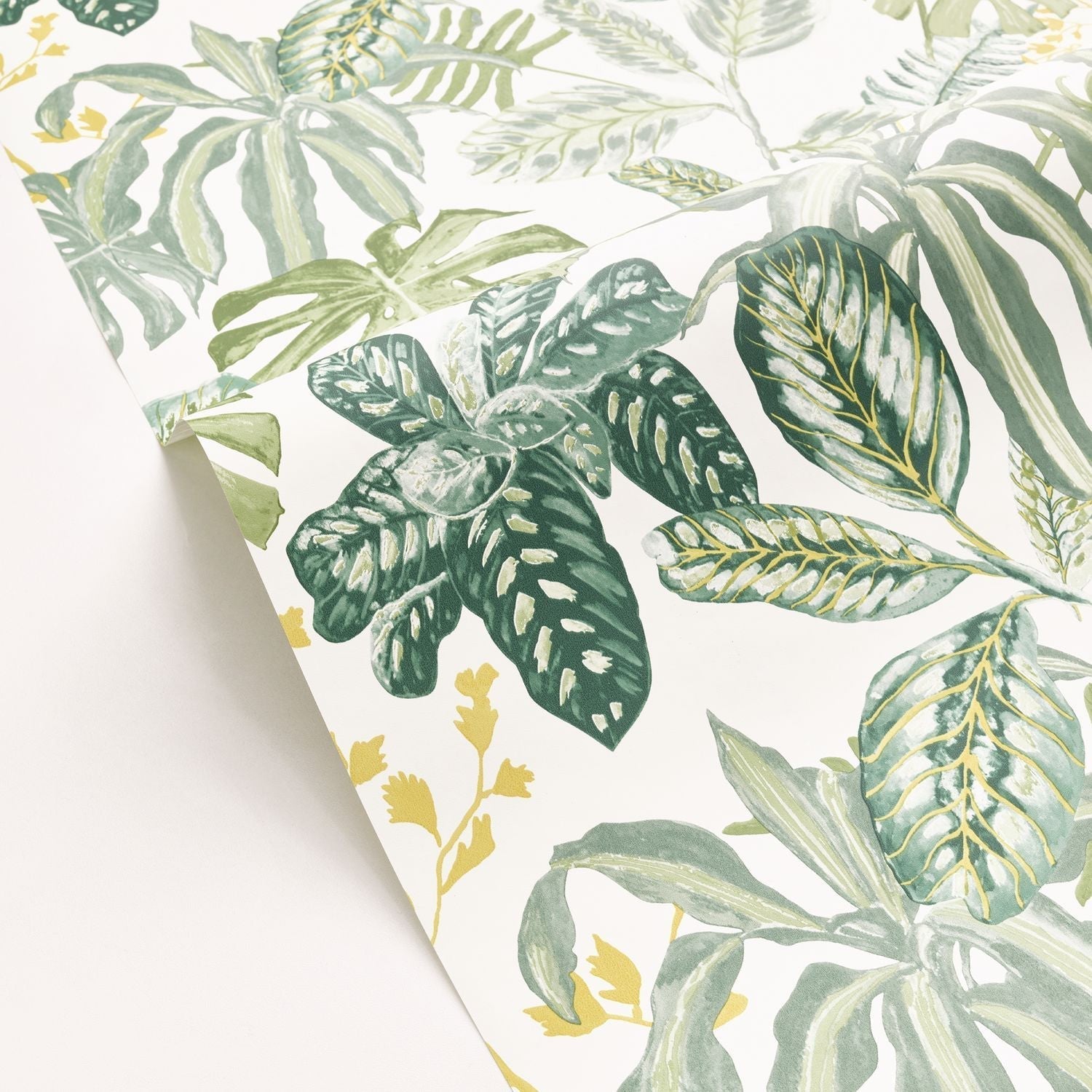 Manaus Wallpaper - Vert Mousse - Caselio - 103897067
